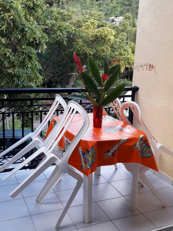 Holidays In Martinique - Ravenala 圣安娜 外观 照片