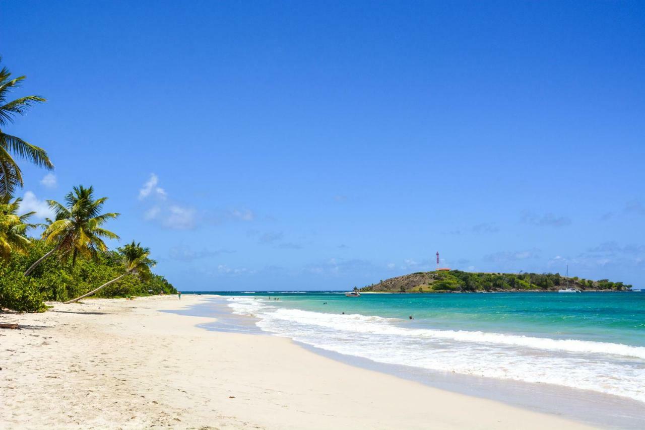 Holidays In Martinique - Ravenala 圣安娜 外观 照片