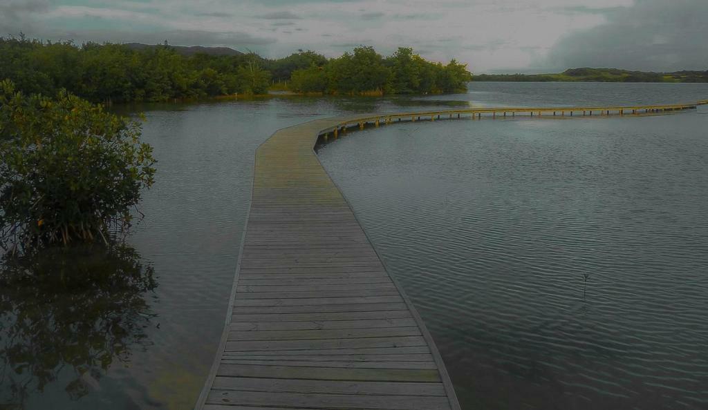 Holidays In Martinique - Ravenala 圣安娜 外观 照片